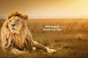 World Lion Day