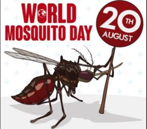 World Mosquito Day
